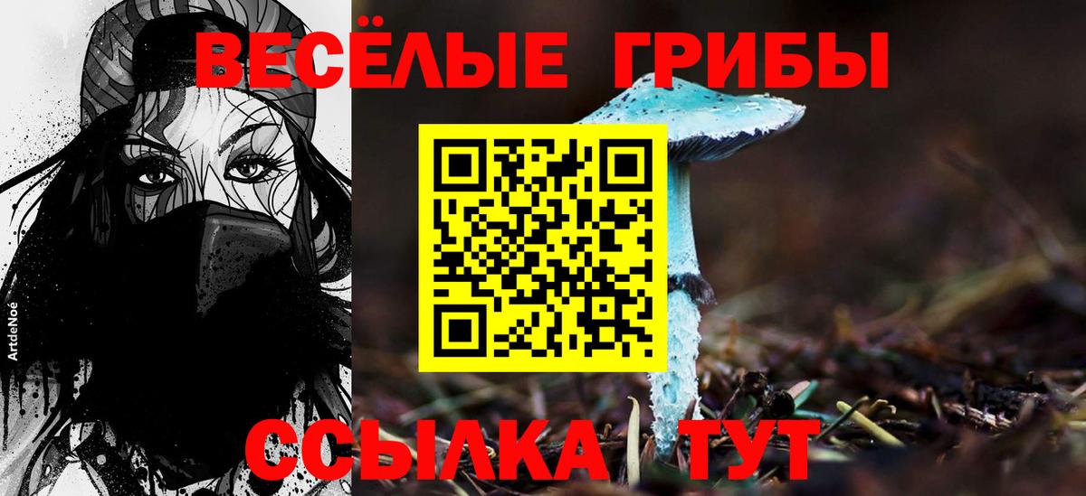 Галлюциногенные грибы GOLDEN TEACHER  Вход с VPN  Донской 